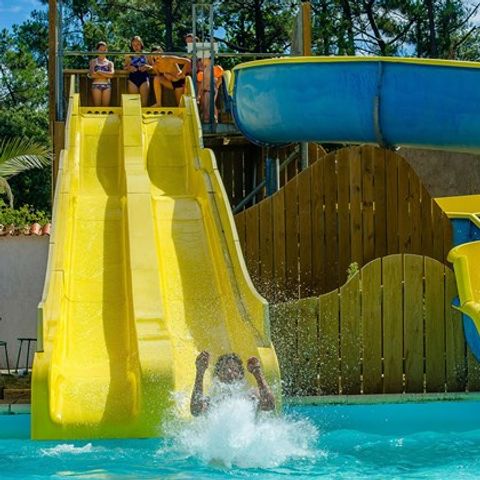 Flower Camping  Les Dunes - Camping Vendée - Afbeelding N°4