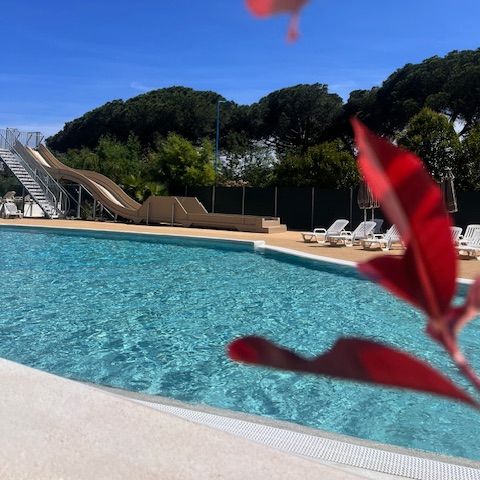 Camping La Provençale - Alpes-Maritimes - Afbeelding N°3