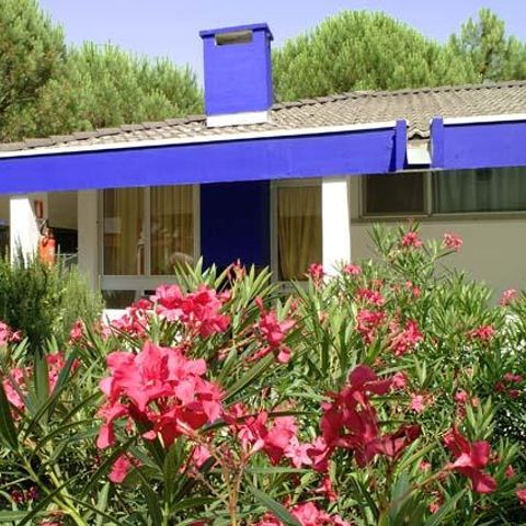 Bungalow 4 personen - Superieur