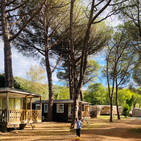 Camping Maureillas - Camping Pyrénées-Orientales - Afbeelding N°4