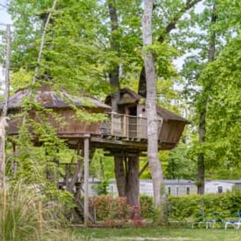 UNIEKE ACCOMMODATIE 5 personen - Boomhut