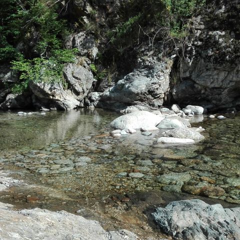 Camping Les Rives de l'Ardèche - Camping Ardèche - Afbeelding N°2