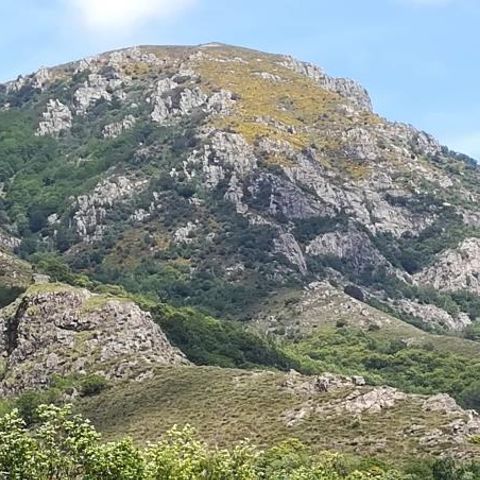 Camping Les Rives de l'Ardèche - Camping Ardèche - Afbeelding N°6