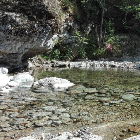 Camping Les Rives de l'Ardèche - Camping Ardèche - Afbeelding N°3