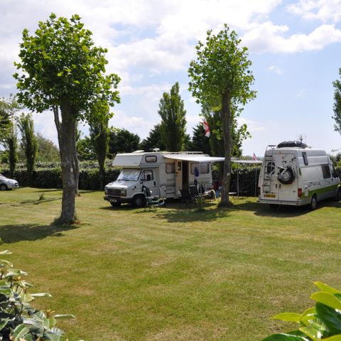 Kampeerplaats - Auto + warme douches + 10A elektriciteit