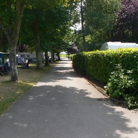 Kampeerplaats - Standplaats + auto + warme douches + 15A elektriciteit