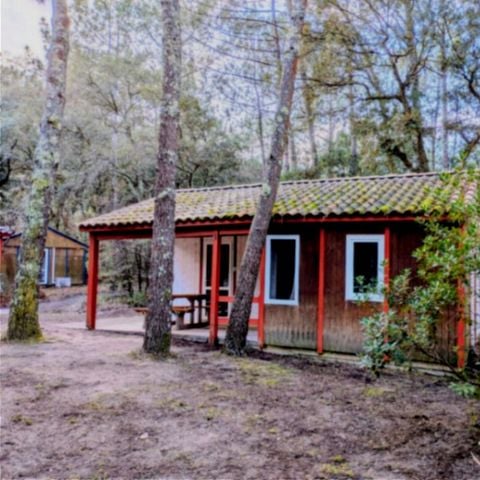 Chalet 4 personen - DUNE 2bed 4pers
