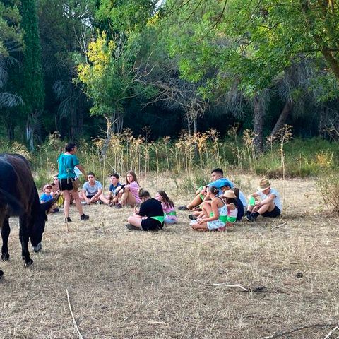 Camping Malolya - Camping Aube - Afbeelding N°2