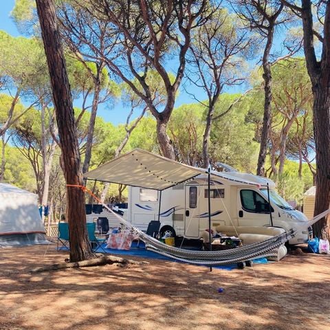 Kampeerplaats - Standaard Comfort standplaats - 60-75m2 - : auto - Caravan of camper of tent - Elektriciteit