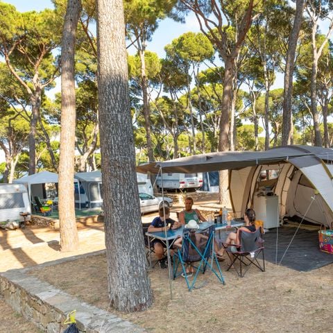 Kampeerplaats - Standaard Comfort standplaats - 60-75m2 - : auto - Caravan of camper of tent - Elektriciteit