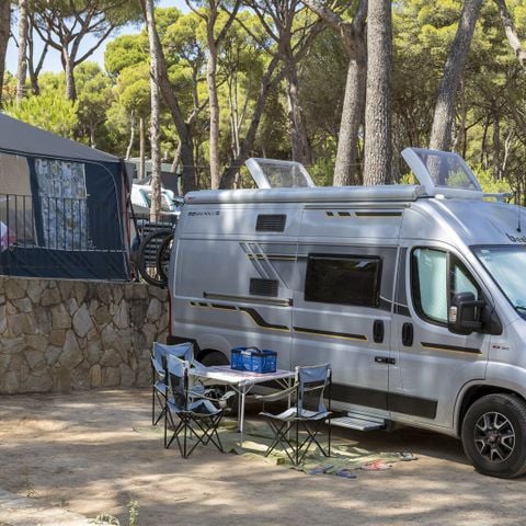 Kampeerplaats - Standaard Basis - 45-60m2 - : auto - Caravan of camper of tent - Elektriciteit