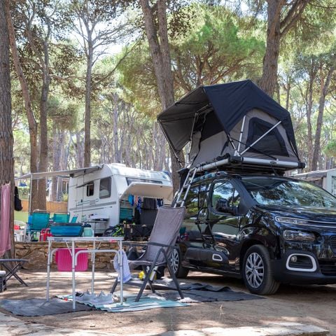 Kampeerplaats - Standaard Basis - 45-60m2 - : auto - Caravan of camper of tent - Elektriciteit