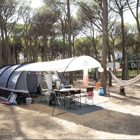 Kampeerplaats - Standaard tentplaats - 40-55m2 - : auto - Tent - Elektriciteit