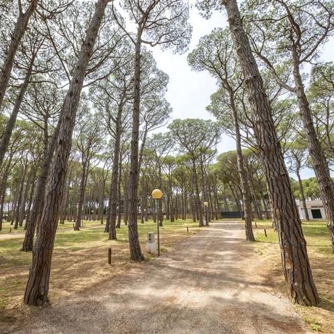STAANPLAATS - Kavel Pinada Camper 