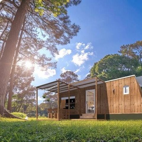 UNIEKE ACCOMMODATIE 4 personen - Tiny House | 2 slaapkamers | 4 pers | Verhoogd terras | 1 badkamer | Airconditioning