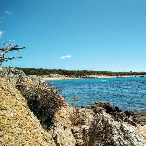 Camping Kevano Plage - Zuid-corsica - Afbeelding N°2