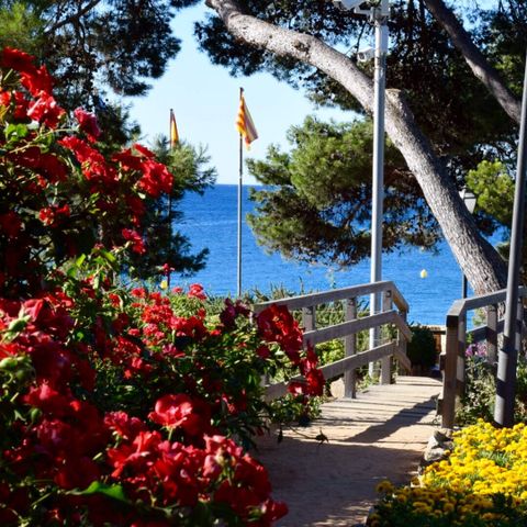 Camping Treumal  - Camping Girona - Afbeelding N°5