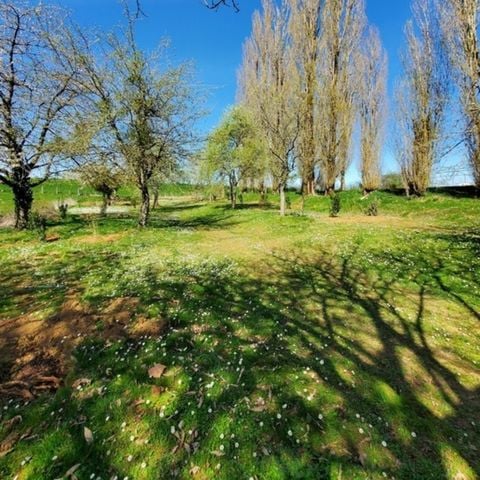 STAANPLAATS - Classic-staanplaatsarrangement voor tenten
