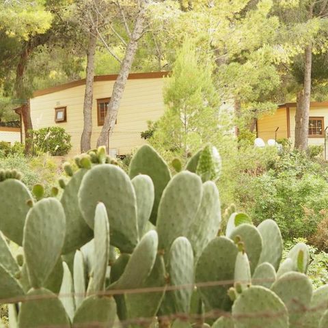 Stacaravan 5 personen - GROOT