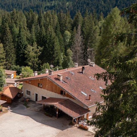 Club del Sole Val di Fiemme Easy Camping Village - Camping Trente - Afbeelding N°5