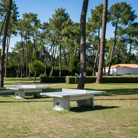 Village Vacances Sous les Pins - Camping Charente-Maritime - Afbeelding N°5