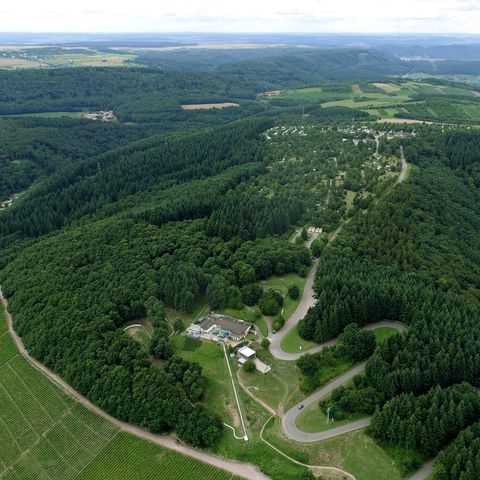 Camping Landal Warsberg - Camping Rijnland-Palts - Afbeelding N°6