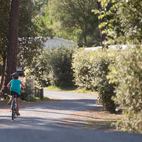 Domaine des Pins   - Camping Vendée - Afbeelding N°4