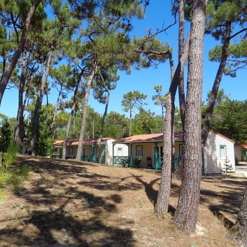 Village Vacances Atlantique Vacances - Camping Vendée - Afbeelding N°6