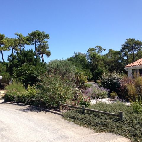 Camping Hibiscus - Camping Vendée - Afbeelding N°5