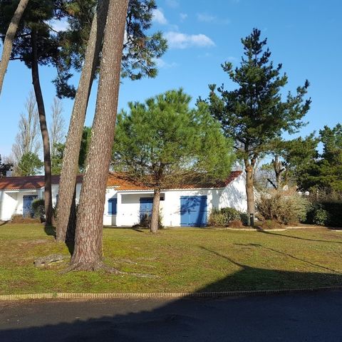 Camping Hibiscus - Camping Vendée - Afbeelding N°4