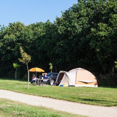 STAANPLAATS - Standaard 100-150m² TENT