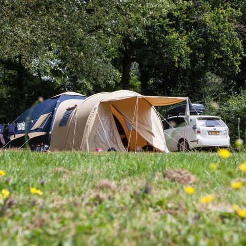STAANPLAATS - Standaard 160-250m² TENT