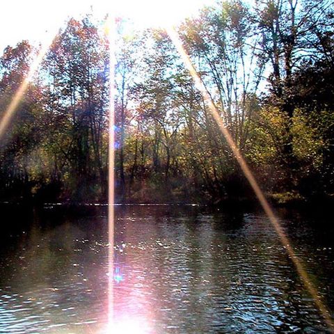 Camping Le Verdillé - Camping Loire - Afbeelding N°5