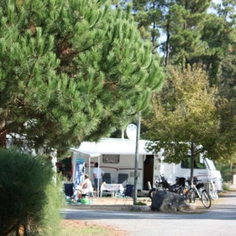 STAANPLAATS - Comfortpakket (1 tent, caravan of camper / 1 auto / 10A elektriciteit)