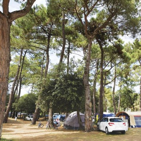 STAANPLAATS - Comfortpakket (1 tent, caravan of camper / 1 auto / 10A elektriciteit)