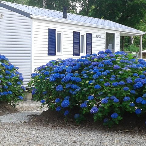 Camping Les Myrtilles - Camping Finistère - Afbeelding N°3