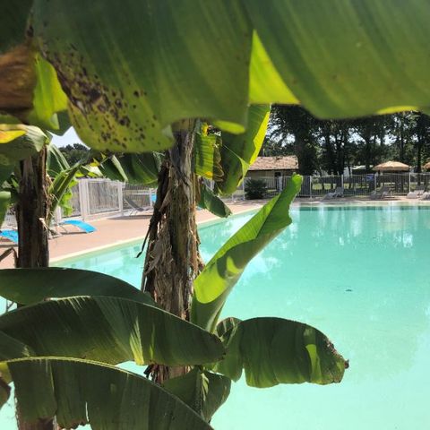 Camping Las Chancas - Camping Landes - Afbeelding N°2