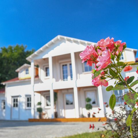 Village de gîte Dallas - Camping Vendée - Afbeelding N°3