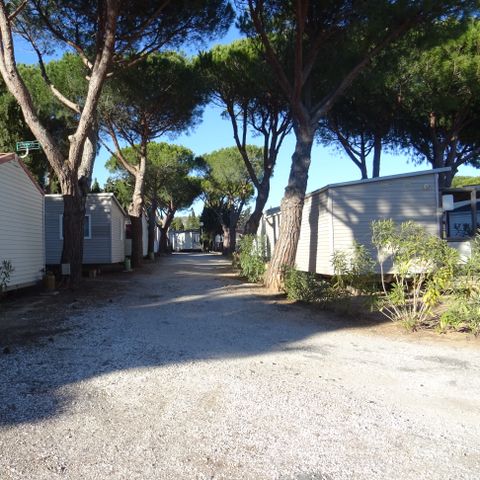Camping International du Roussillon - Camping Pyrénées-Orientales - Afbeelding N°3