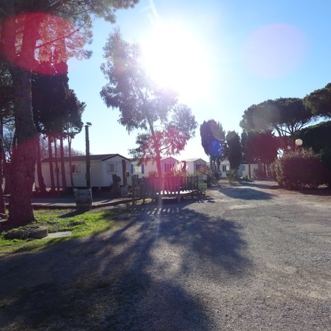 Camping International du Roussillon - Camping Pyrénées-Orientales - Afbeelding N°2