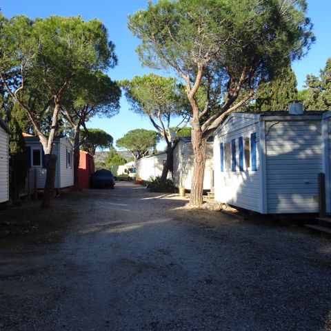 Camping International du Roussillon - Camping Pyrénées-Orientales - Afbeelding N°5