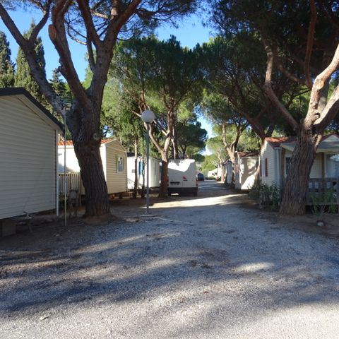 Camping International du Roussillon - Camping Pyrénées-Orientales - Afbeelding N°4