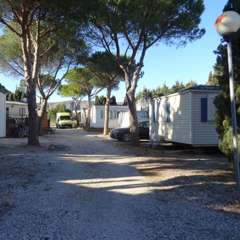 Camping International du Roussillon - Camping Pyrénées-Orientales - Afbeelding N°6