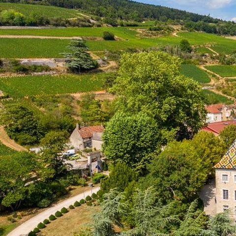 Camping de Santenay - Camping Côte-d'Or - Afbeelding N°3
