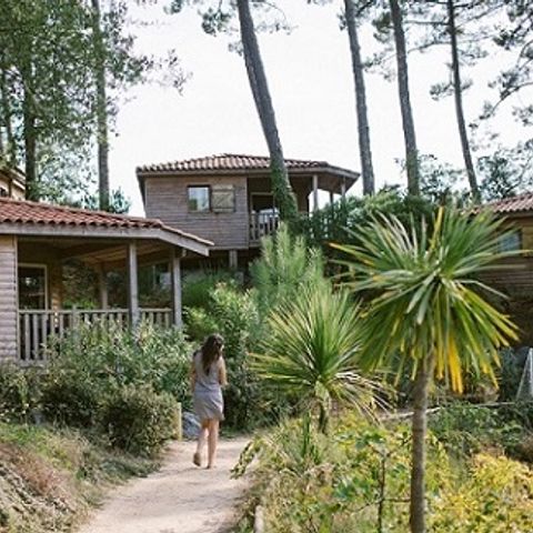 Chalet 6 personen - NATUREO CABIN 3bed 6 pers