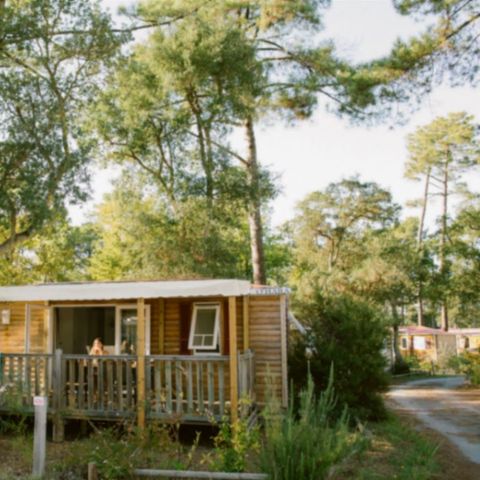 Stacaravan 6 personen - COTTAGE PREMIUM PP 3 sl.k. 6 pers