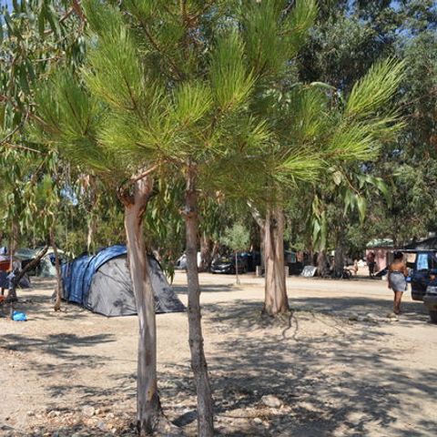 Camping Des Nacres - Camping Noord-corsica - Afbeelding N°3