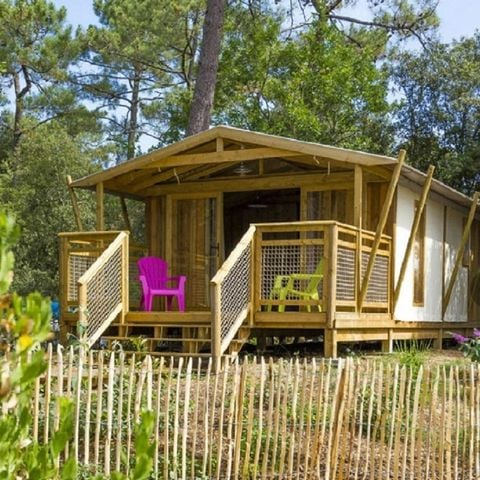 UNIEKE ACCOMMODATIE 5 personen - Ecolodge Premium Sweet