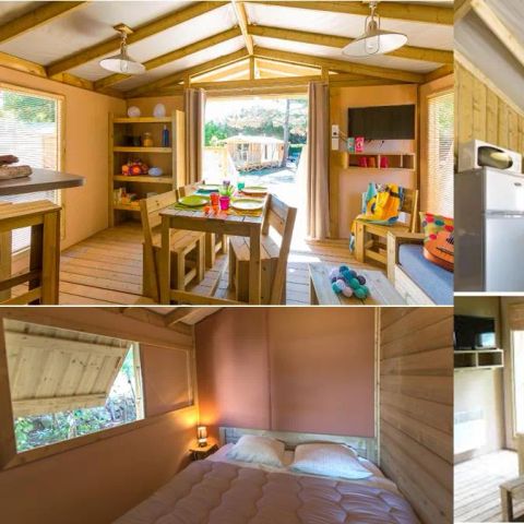UNIEKE ACCOMMODATIE 5 personen - Ecolodge Premium Sweet