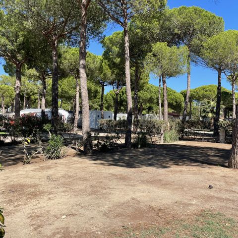 Camping Calypso - Camping Pyrénées-Orientales - Afbeelding N°6
